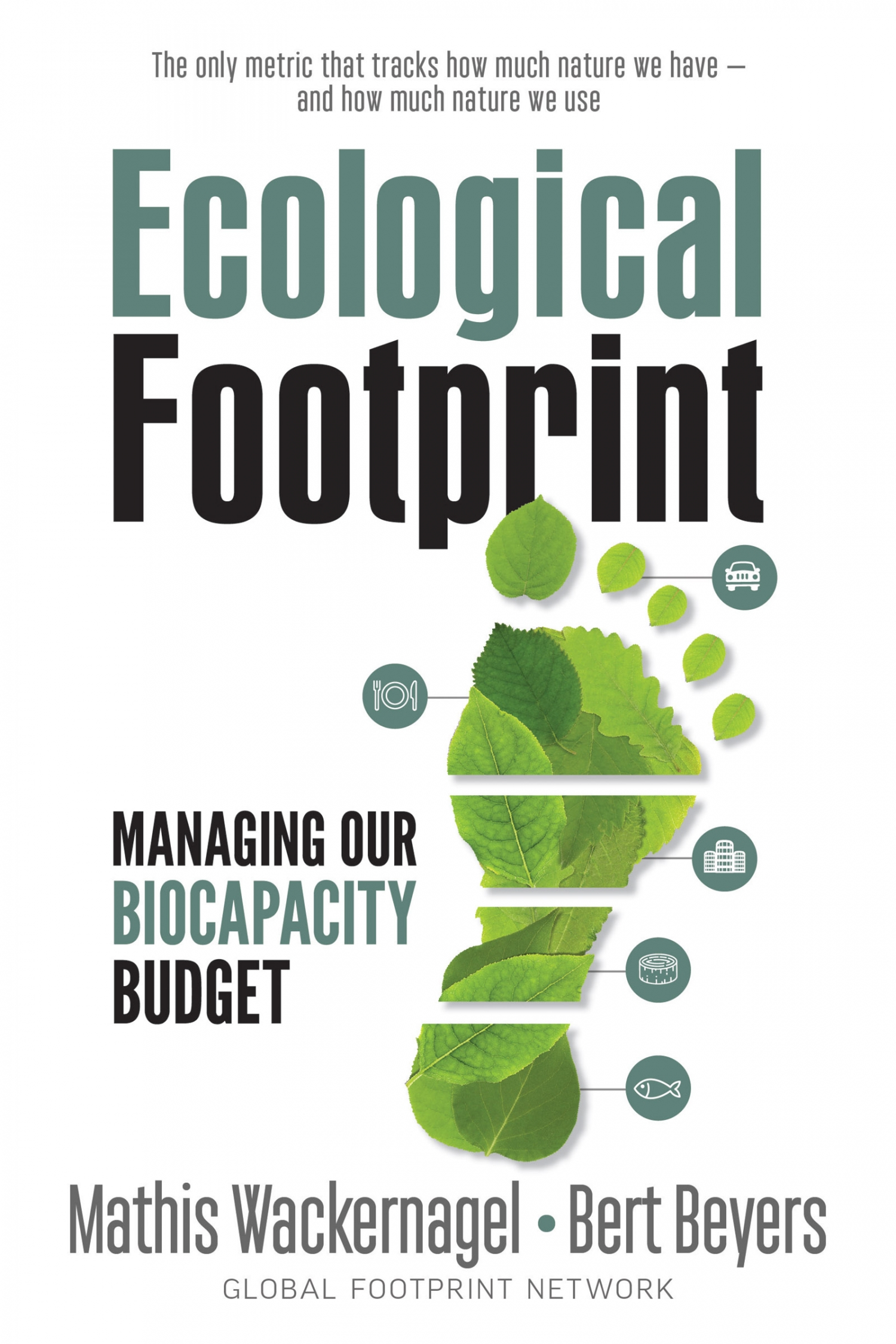 Review Of Ecological Footprint 9780865719118 Foreword Reviews