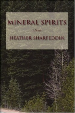 disposing of mineral spirits