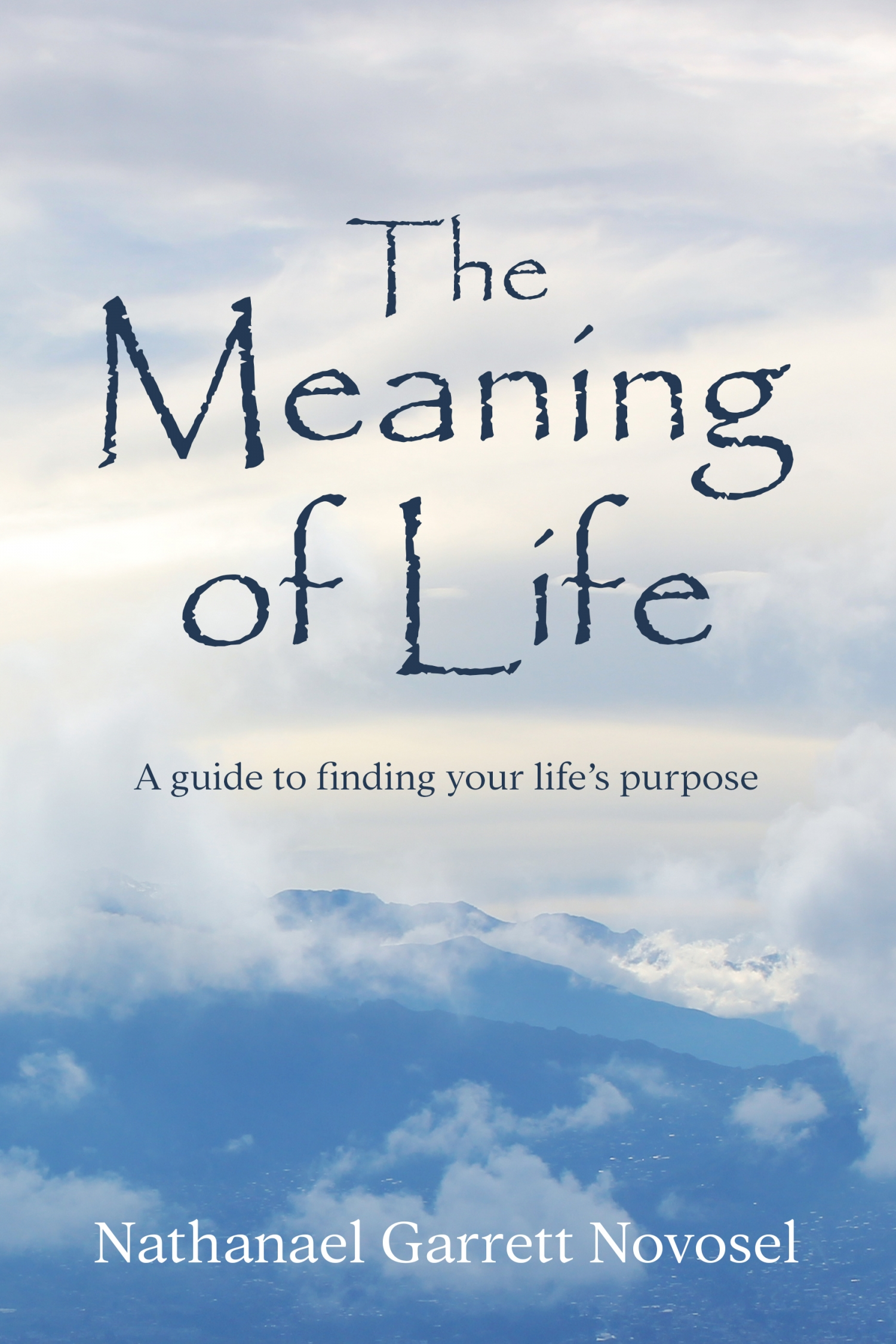 The Meaning Of Life 9781948220019 