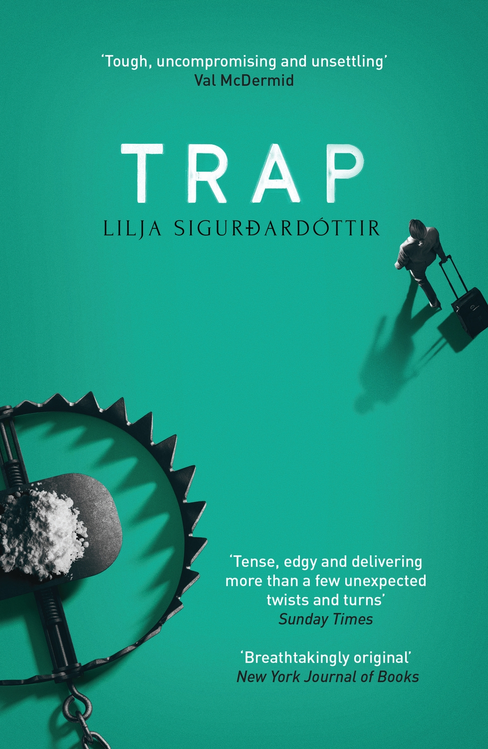 the crow trap book review