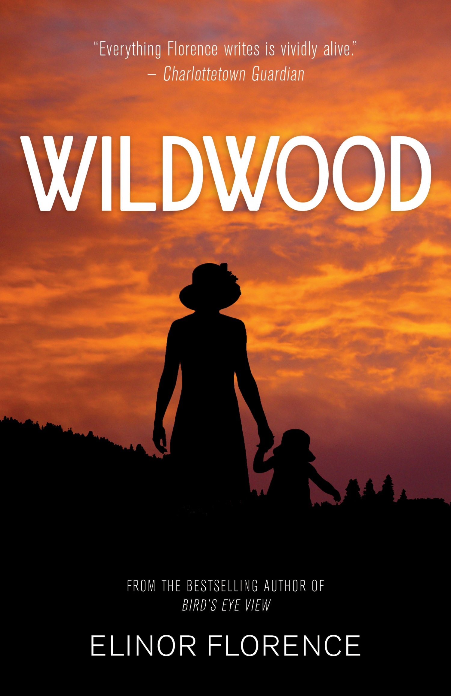 wildwood book review christian